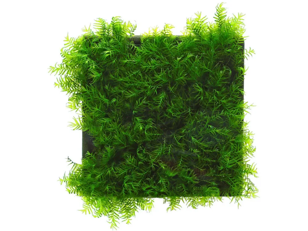 Phoenix Moss